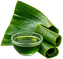 Extracto de hoja de plátano en la fórmula de Glycoflamin